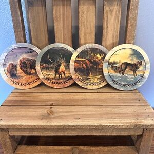 Yellowstone coasters